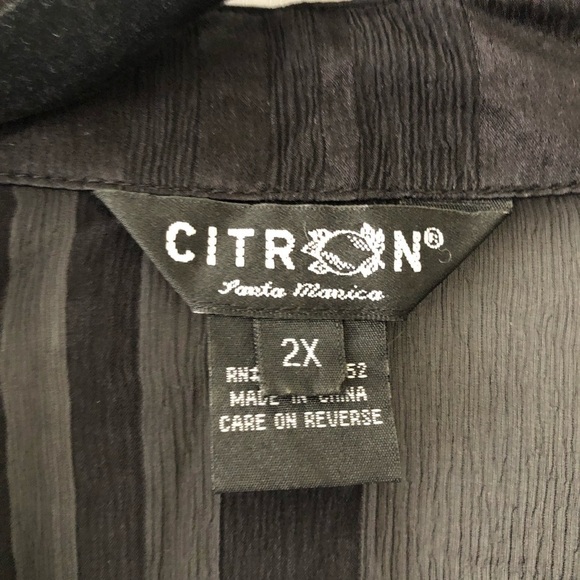 Citron Black Sheer Silk Blouse 2X - Picture 4 of 12
